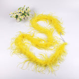 10PACK Decorative Feathers