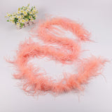 10PACK Decorative Feathers