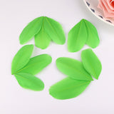 1000PACK Decorative Feathers 5-8cm