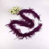 10PACK Decorative Feathers