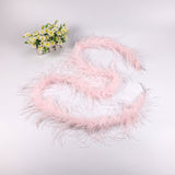 10PACK Decorative Feathers