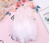 100PACK Decorative Feathers - 8-15cm