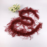 10PACK Decorative Feathers