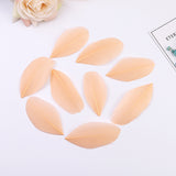 1000PACK Decorative Feathers 5-8cm