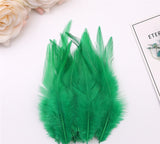 100PACK Decorative Feathers - 8-15cm