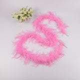 10PACK Decorative Feathers