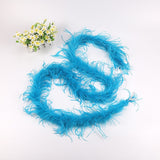 10PACK Decorative Feathers