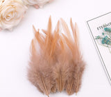 100PACK Decorative Feathers - 8-15cm