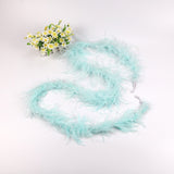 10PACK Decorative Feathers