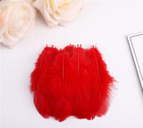 400PACK Decorative Feathers -5-10cm