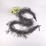 10PACK Decorative Feathers