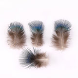 1000PACK Decorative Feathers - 4-8cm