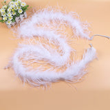 10PACK Decorative Feathers