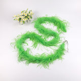10PACK Decorative Feathers