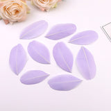 1000PACK Decorative Feathers 5-8cm
