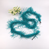 10PACK Decorative Feathers