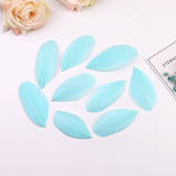 1000PACK Decorative Feathers 5-8cm