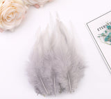 100PACK Decorative Feathers - 8-15cm