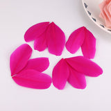 1000PACK Decorative Feathers 5-8cm