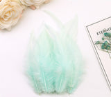 100PACK Decorative Feathers - 8-15cm