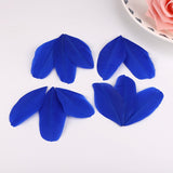 1000PACK Decorative Feathers 5-8cm