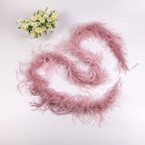 10PACK Decorative Feathers