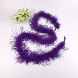 10PACK Decorative Feathers