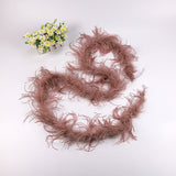 10PACK Decorative Feathers