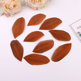 1000PACK Decorative Feathers 5-8cm
