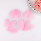 1000PACK Decorative Feathers 5-8cm