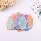 1000PACK Decorative Feathers 5-8cm