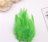 100PACK Decorative Feathers - 8-15cm