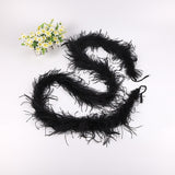 10PACK Decorative Feathers