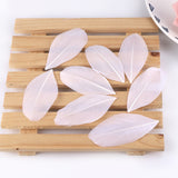 1000PACK Decorative Feathers 5-8cm