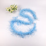 10PACK Decorative Feathers