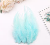 100PACK Decorative Feathers - 8-15cm