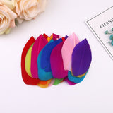 1000PACK Decorative Feathers 5-8cm