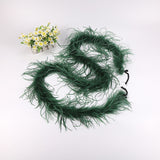 10PACK Decorative Feathers