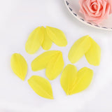 1000PACK Decorative Feathers 5-8cm