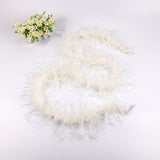 10PACK Decorative Feathers