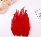 100PACK Decorative Feathers - 8-15cm