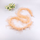 10PACK Decorative Feathers