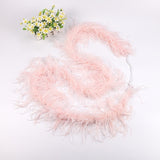 10PACK Decorative Feathers
