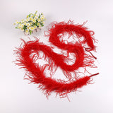10PACK Decorative Feathers