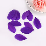 1000PACK Decorative Feathers 5-8cm