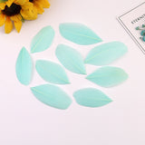 1000PACK Decorative Feathers 5-8cm