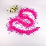 10PACK Decorative Feathers
