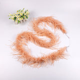 10PACK Decorative Feathers