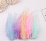 100PACK Decorative Feathers - 8-15cm