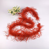 10PACK Decorative Feathers